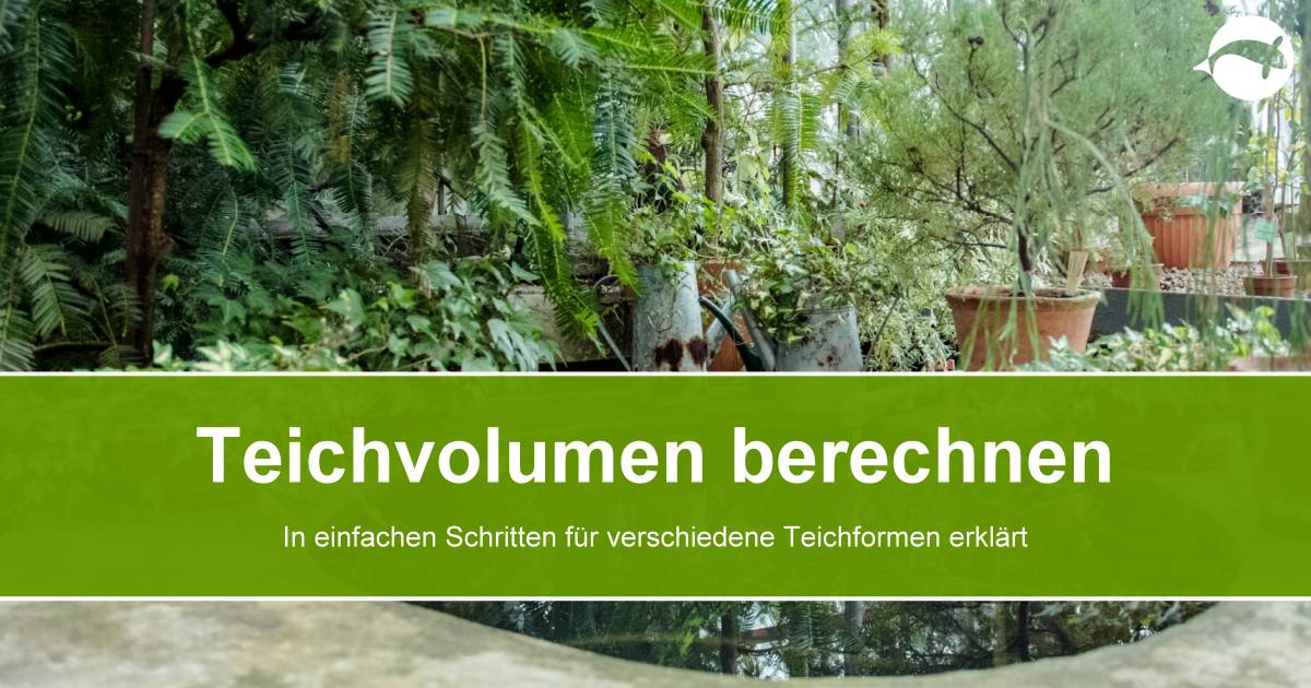 Teichvolumen berechnen Wieviel Liter fasst mein Gartenteich